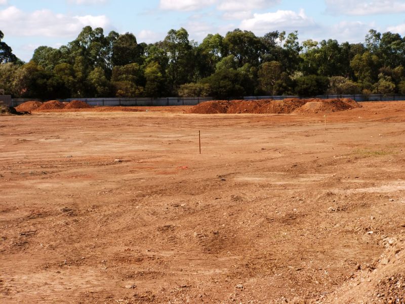 Site Clearing Experts