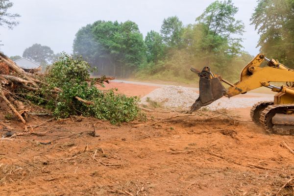 Ground Clearing in Everett