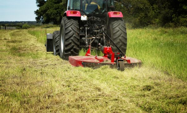 Brush Clearing Service in Everett