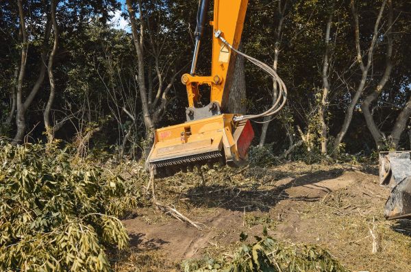 Brush Removal Service in Everett