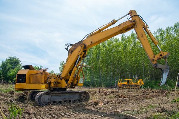 Cost of Farm Clearing in Everett