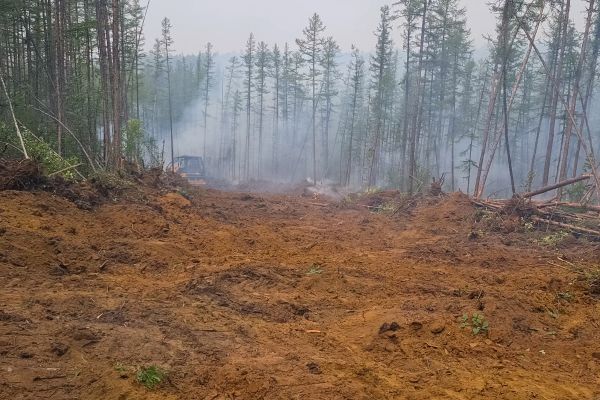 Hill Clearing in Everett