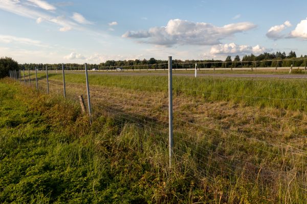 Cost of Property Line Clearing in Everett