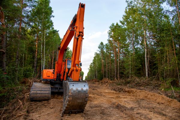 Cost of Backhoe Land Clearing in Everett