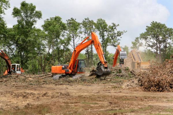 Cost of Commercial Lot Clearing in Everett