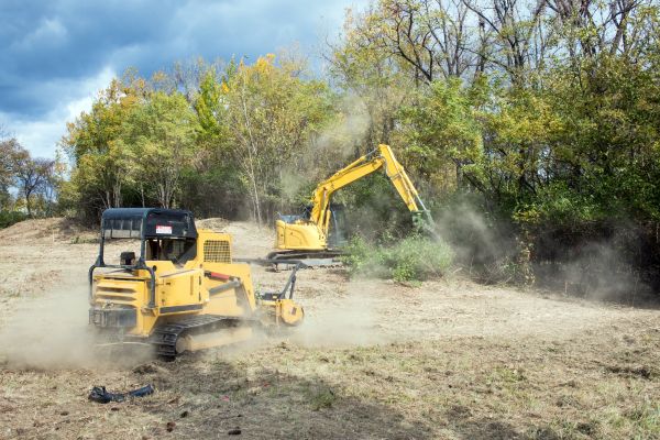Cost of Terrain Clearing in Everett